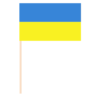 Ukraina käsilipp 15x24 cm puidust vardaga
